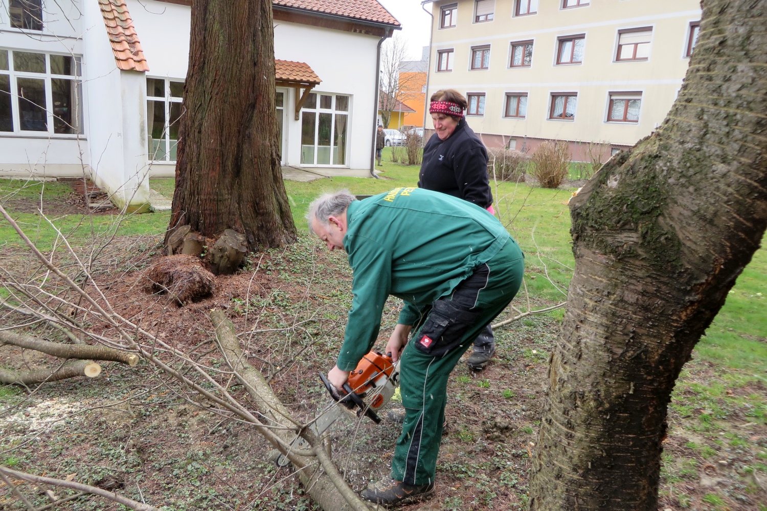 16-03-08-Heckenschneiden-001