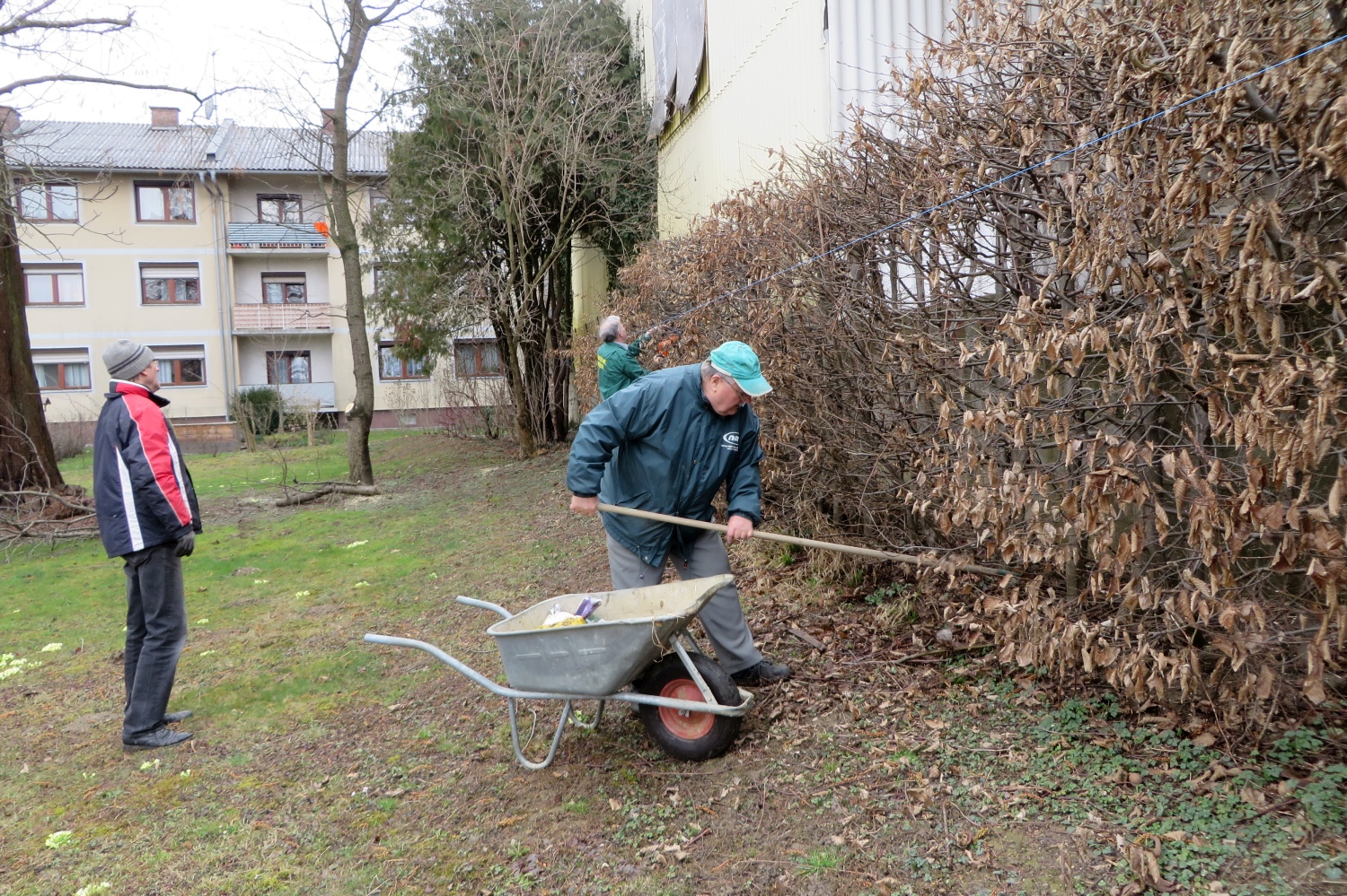 16-03-08-Heckenschneiden-002