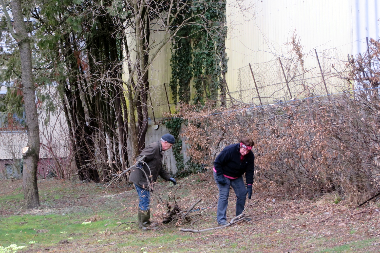 16-03-08-Heckenschneiden-011