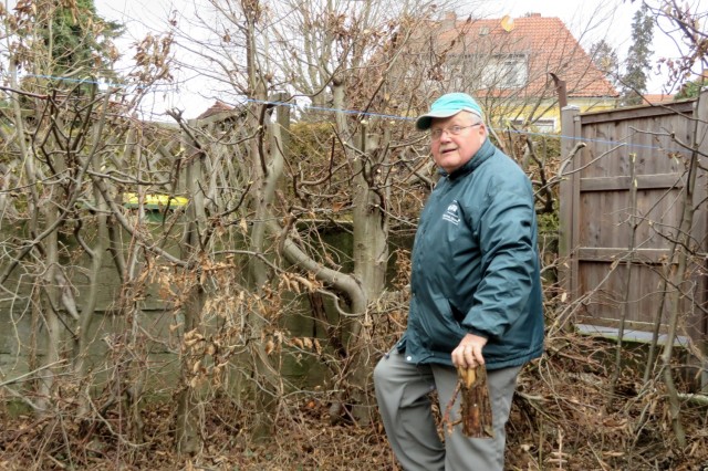 16-03-08-Heckenschneiden-012