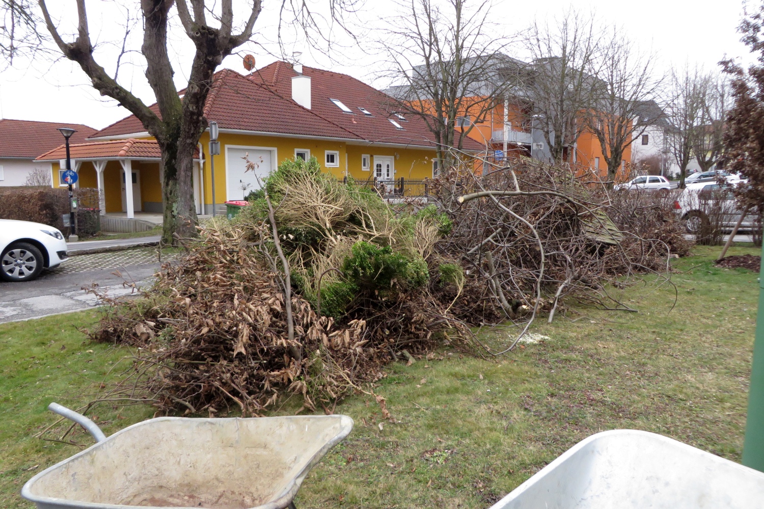 16-03-08-Heckenschneiden-031