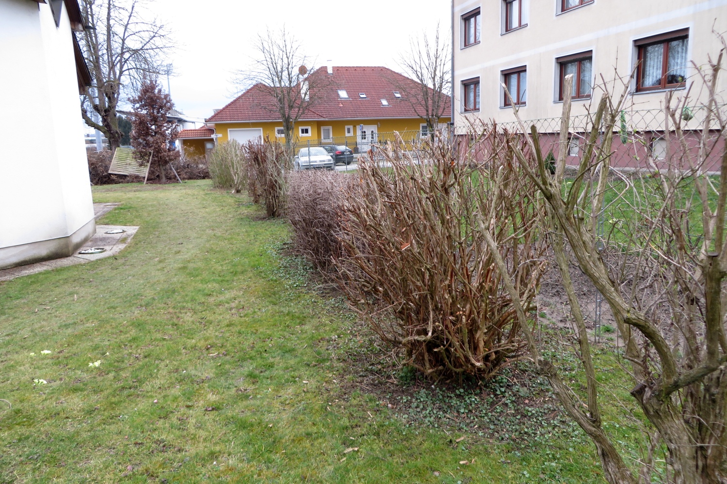 16-03-08-Heckenschneiden-037