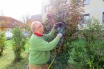 Grünschnittaktion im Oktober