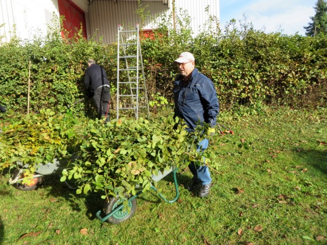 16-10-12-Grünschnitt-18