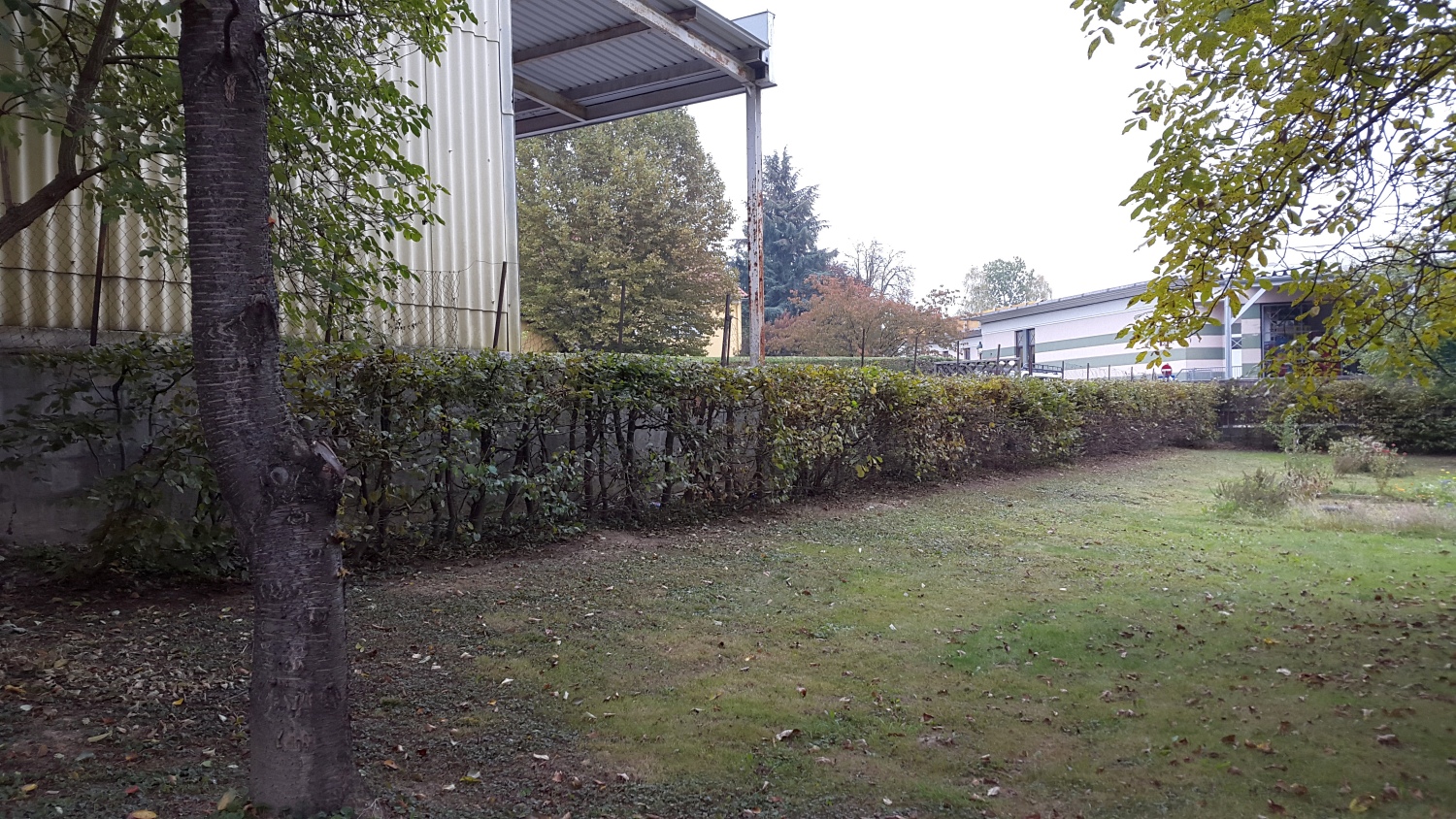 16-10-12-Grünschnitt-31