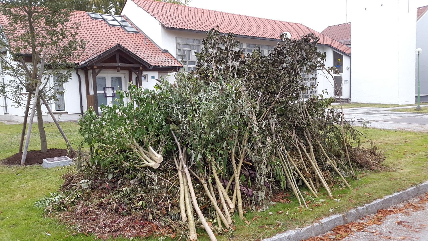 16-10-12-Grünschnitt-37