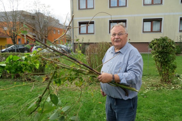 17-10-10-Grünschnittaktion-07