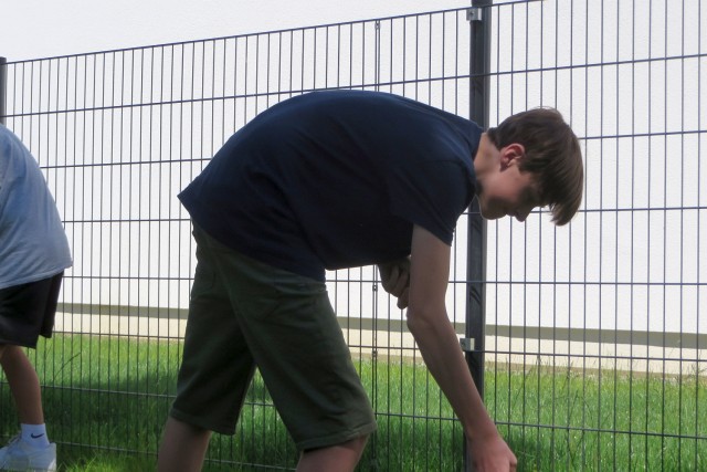 20-06-13-Konfihecke-12