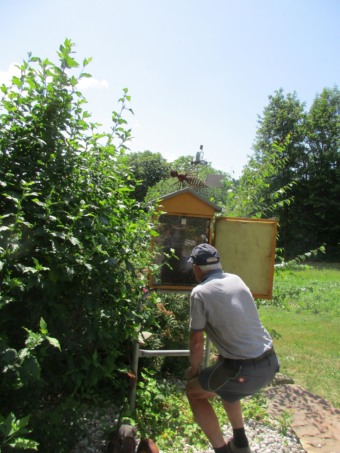 21-07-19+20-Kindererlebnistage-036