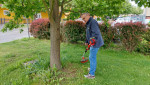 2025-05-16 Gartenarbeit-01