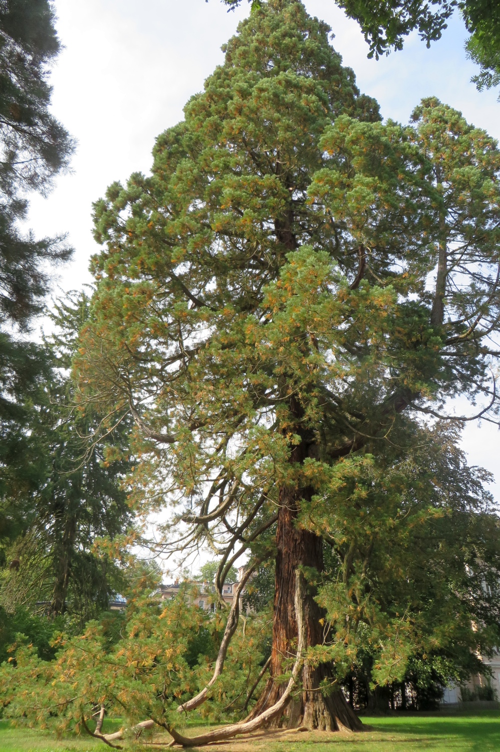 13-09-08-Gemeindeausflug_BadRadkersburg-169